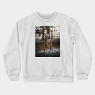 Sika Deer Crewneck Sweatshirt